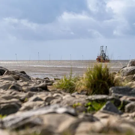 Ostertill 11 * Dorumer Neufeld