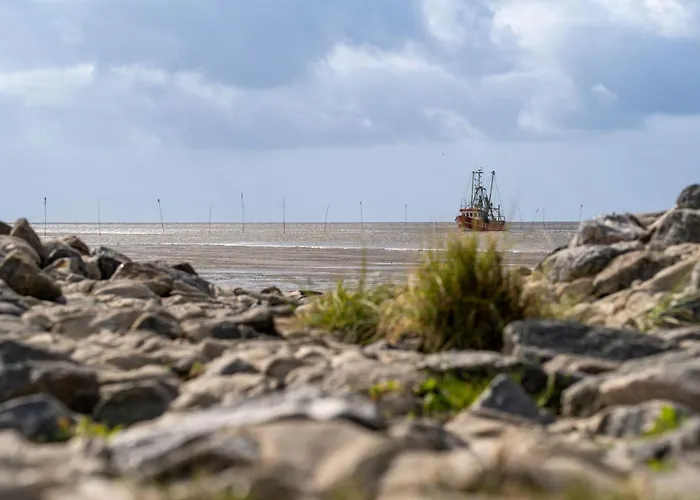 Ostertill 11 * דורום נויפלד